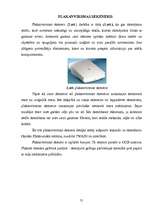 Referāts 'Skeneris', 21.