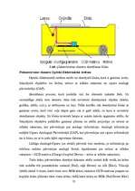 Referāts 'Skeneris', 22.