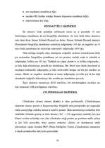 Referāts 'Skeneris', 26.