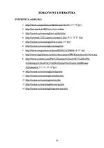 Referāts 'Skeneris', 30.