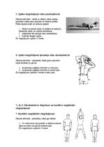 Paraugs 'Vispārattīstošo vingrojumu komplekss', 4.