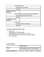 Prakses atskaite 'Ķirurģijas aprūpes plāns', 4.