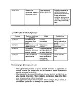 Prakses atskaite 'Ķirurģijas aprūpes plāns', 10.