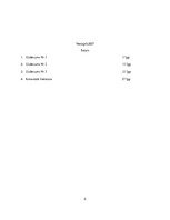 Paraugs 'Kursa darbs', 2.