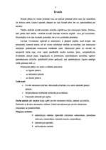 Referāts 'Privātais testaments', 3.