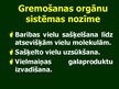 Prezentācija 'Gremošanas orgānu sistēma', 3.