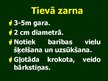 Prezentācija 'Gremošanas orgānu sistēma', 38.