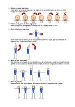 Konspekts 'Desmit vingrojumi sporta stundā', 1.