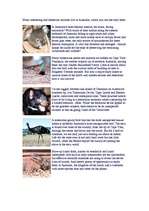 Referāts 'Australia', 4.