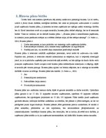 Biznesa plāns 'Biznesa plāns klubam "Sound"', 4.