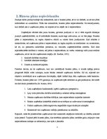 Biznesa plāns 'Biznesa plāns klubam "Sound"', 5.