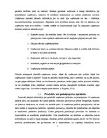 Biznesa plāns 'Biznesa plāns klubam "Sound"', 7.