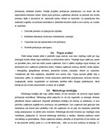 Biznesa plāns 'Biznesa plāns klubam "Sound"', 8.