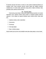 Biznesa plāns 'Biznesa plāns klubam "Sound"', 10.