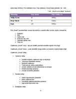 Biznesa plāns 'Biznesa plāns klubam "Sound"', 12.