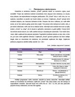 Biznesa plāns 'Biznesa plāns klubam "Sound"', 14.