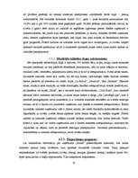 Biznesa plāns 'Biznesa plāns klubam "Sound"', 16.