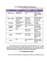 Biznesa plāns 'Biznesa plāns klubam "Sound"', 27.