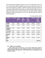 Biznesa plāns 'Biznesa plāns klubam "Sound"', 28.