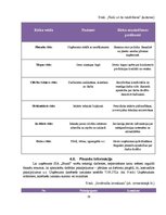 Biznesa plāns 'Biznesa plāns klubam "Sound"', 29.