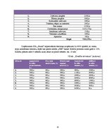 Biznesa plāns 'Biznesa plāns klubam "Sound"', 30.