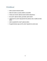 Biznesa plāns 'Biznesa plāns klubam "Sound"', 34.