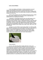 Konspekts 'Laika mērīšanas vēsture pulksteņiem', 1.