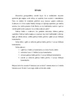 Referāts 'Latvijas lielāko komercbanku patēriņa kredītpolitika', 3.