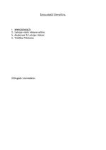 Referāts 'Latvijas ārpolitiskā dienesta un Ārlietu ministrijas pirmie darbības gadi. 1919.', 11.