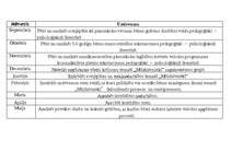 Konspekts 'Pašizglītības plāns latviešu valodas skolotājam pirmsskolas iestādē', 2.