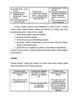 Konspekts 'Zvērināta advokāta, zvērināta tiesu izpildītāja, zvērināta notāra amatu kandidāt', 5.