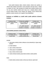 Konspekts 'Zvērināta advokāta, zvērināta tiesu izpildītāja, zvērināta notāra amatu kandidāt', 7.