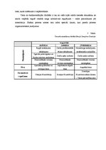 Konspekts 'Zvērināta advokāta, zvērināta tiesu izpildītāja, zvērināta notāra amatu kandidāt', 13.