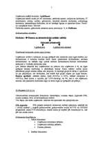 Prakses atskaite 'Sia "Stockmann" prakses atskaite grāmatvedībā', 5.