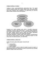 Prakses atskaite 'Sia "Stockmann" prakses atskaite grāmatvedībā', 7.