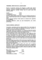 Prakses atskaite 'Sia "Stockmann" prakses atskaite grāmatvedībā', 8.