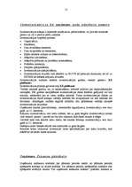 Prakses atskaite 'Sia "Stockmann" prakses atskaite grāmatvedībā', 13.