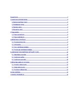 Biznesa plāns 'Biznesa plāns veikalam', 2.