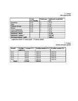 Biznesa plāns 'Biznesa plāns veikalam', 18.