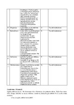 Paraugs 'Koloniālisms eiropiešu apziņā', 4.