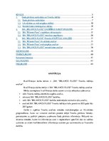 Diplomdarbs 'Finanšu rādītāju analīze', 2.