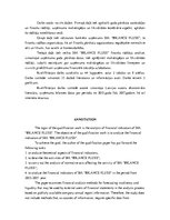 Diplomdarbs 'Finanšu rādītāju analīze', 3.