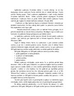 Diplomdarbs 'Finanšu rādītāju analīze', 29.