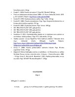 Diplomdarbs 'Finanšu rādītāju analīze', 35.