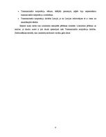 Referāts 'Transnacionālo korporāciju darbība', 4.