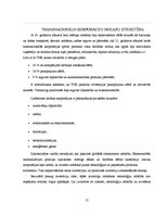 Referāts 'Transnacionālo korporāciju darbība', 12.
