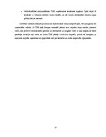 Referāts 'Transnacionālo korporāciju darbība', 16.