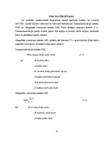 Referāts 'Transnacionālo korporāciju darbība', 20.