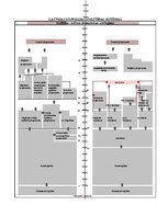 Referāts 'Pedagogu atalgojums un profesionālā pilnveide Polijā', 11.