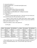 Referāts 'Pedagogu atalgojums un profesionālā pilnveide Polijā', 25.